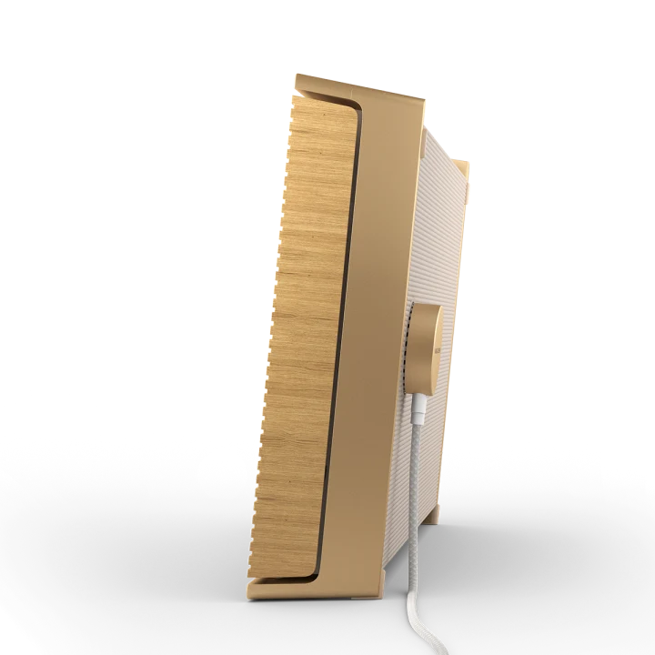 BEOSOUND LEVEL
