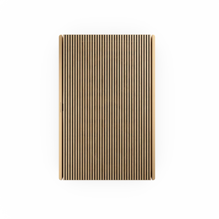 BEOSOUND LEVEL