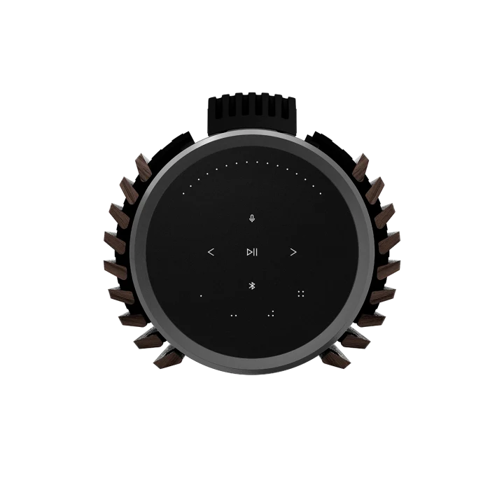 BEOLAB 28