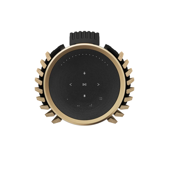 BEOLAB 28