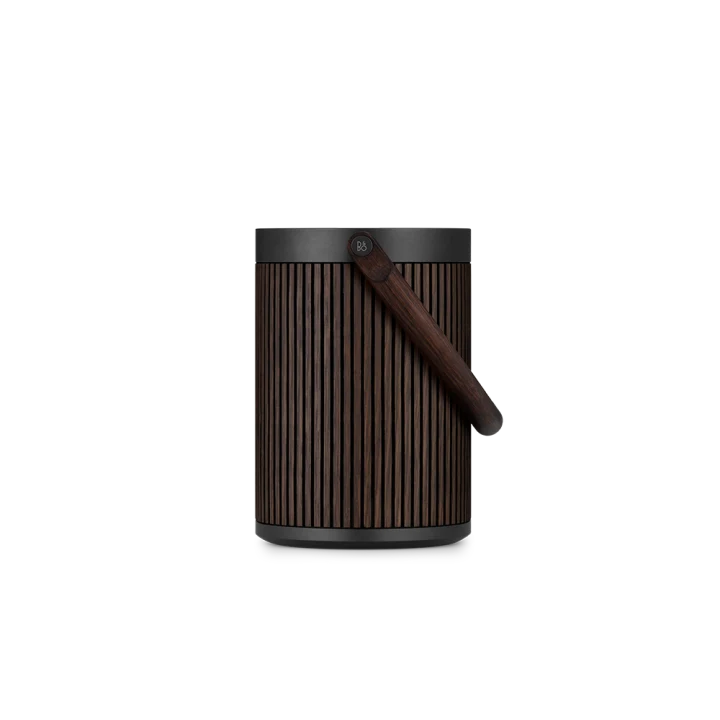 BEOSOUND A5