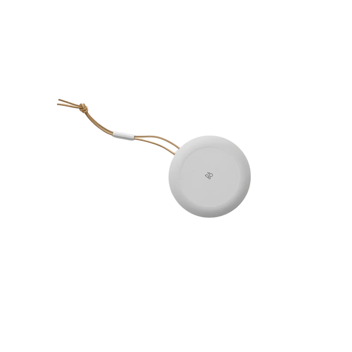 BEOSOUND A1 2ND GEN