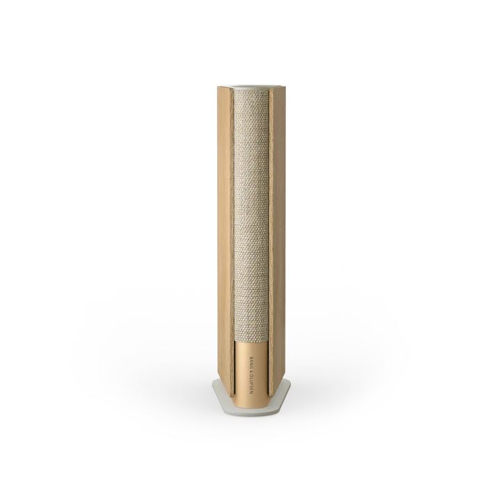 BEOSOUND EMERGE