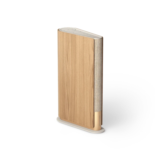 BEOSOUND EMERGE