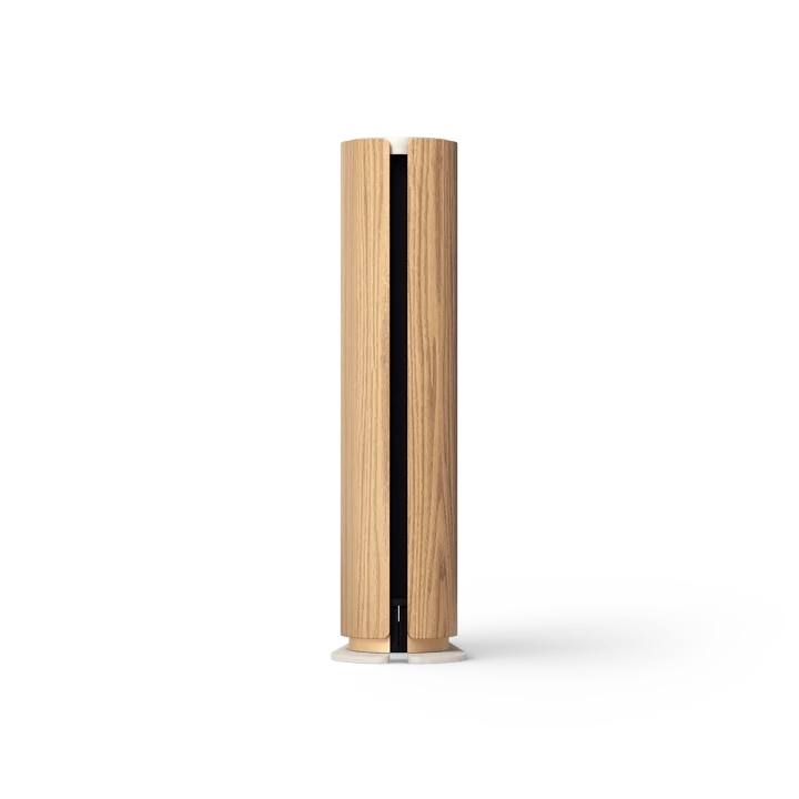BEOSOUND EMERGE
