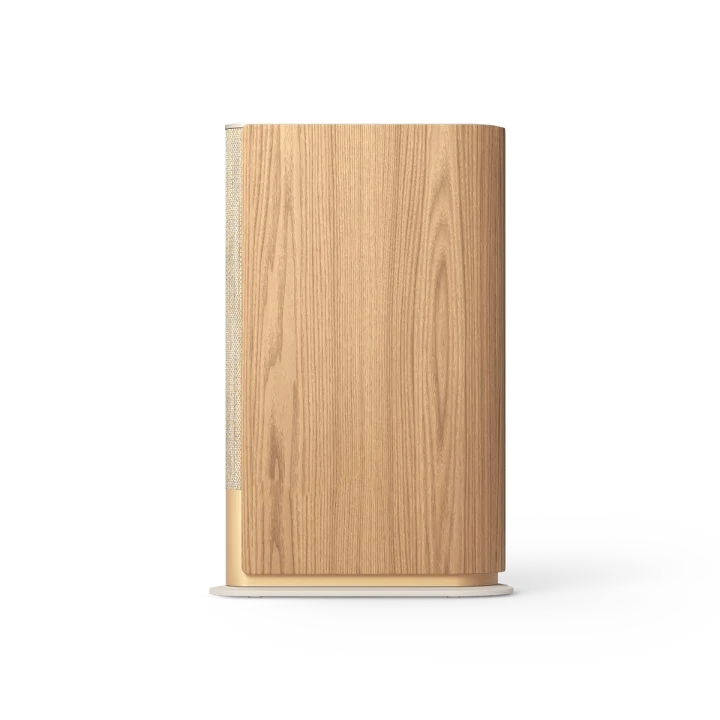BEOSOUND EMERGE