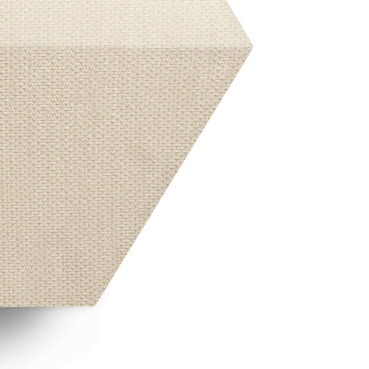 BEOSOUND SHAPE