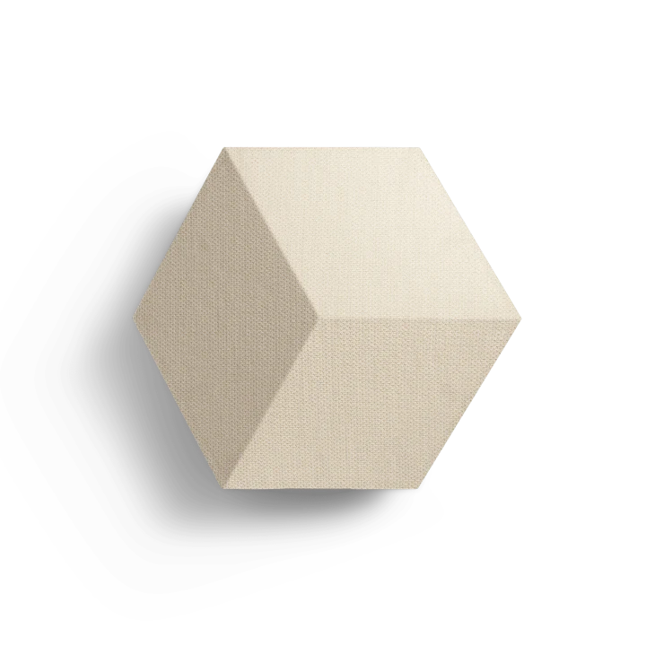 BEOSOUND SHAPE