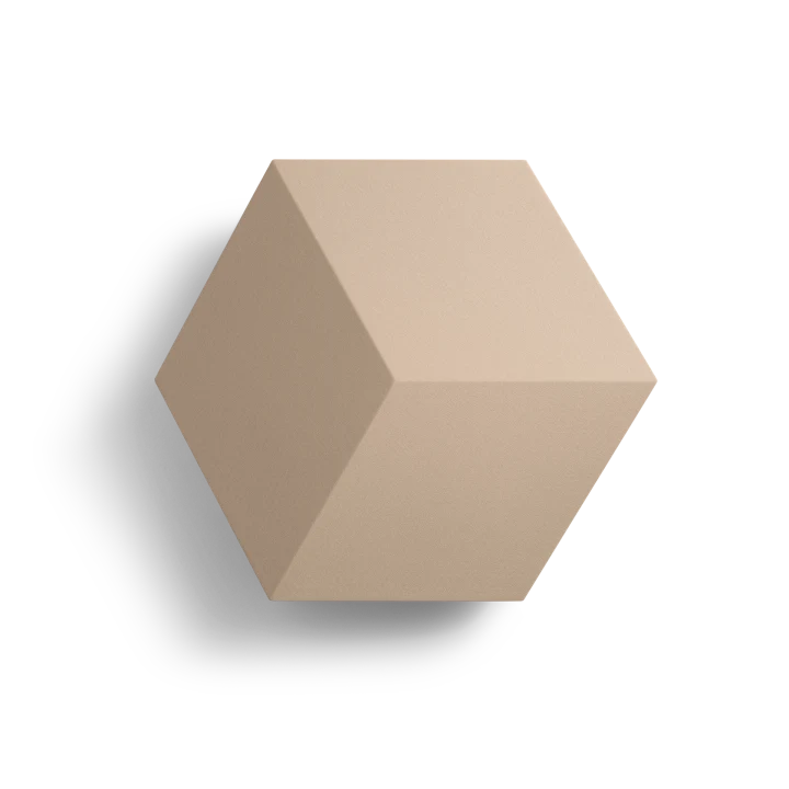 BEOSOUND SHAPE