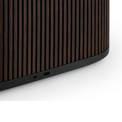 BEOSOUND A5